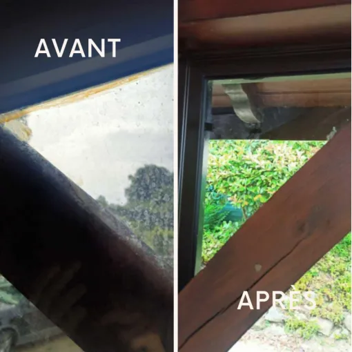 Pollen et vitres sales : pourquoi faire appel à Climexel pour un nettoyage de vitres à Aire-sur-l’Adour et Mont-de-Marsan ?, Aire-sur-l'Adour, Climexel