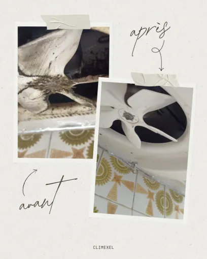 Pourquoi faire nettoyer son évaporateur dans une chambre froide à Mont-de-Marsan ?, Aire-sur-l'Adour, Climexel